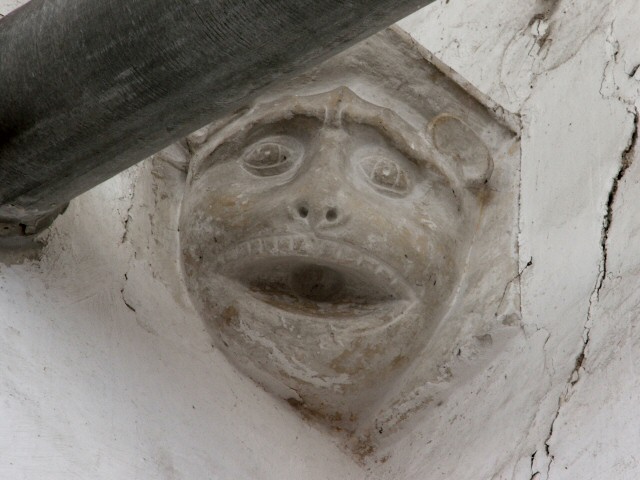 Click to see next picture